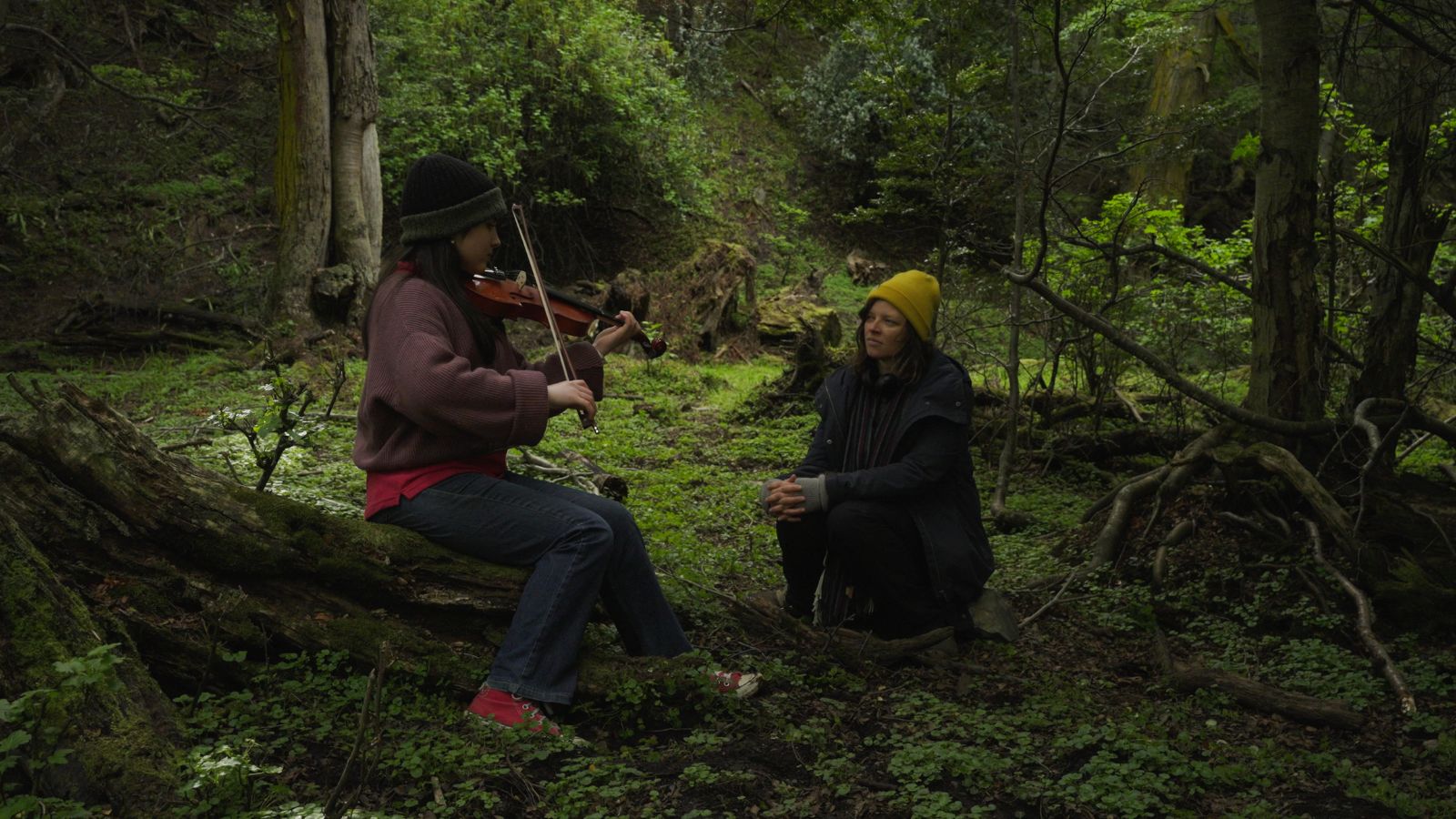 Cuando las nubes esconden la sombra, José Luis Torres Leiva
